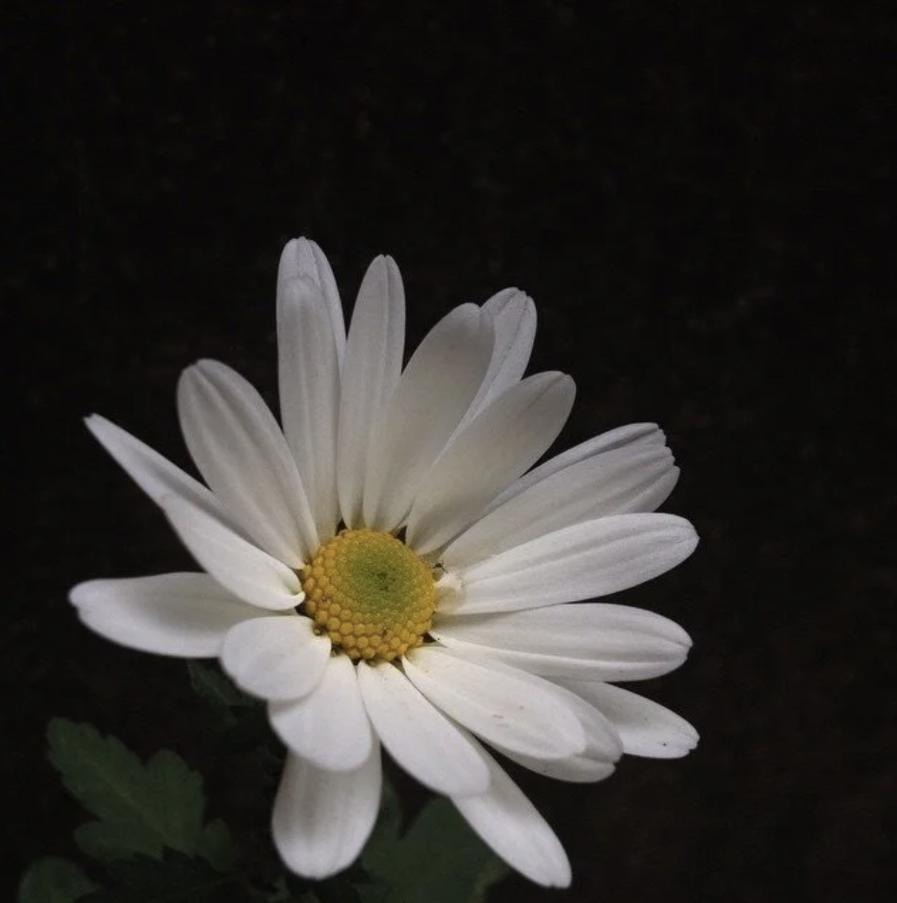 Capture d’écran 2025-09-05 à 09.21.18.png