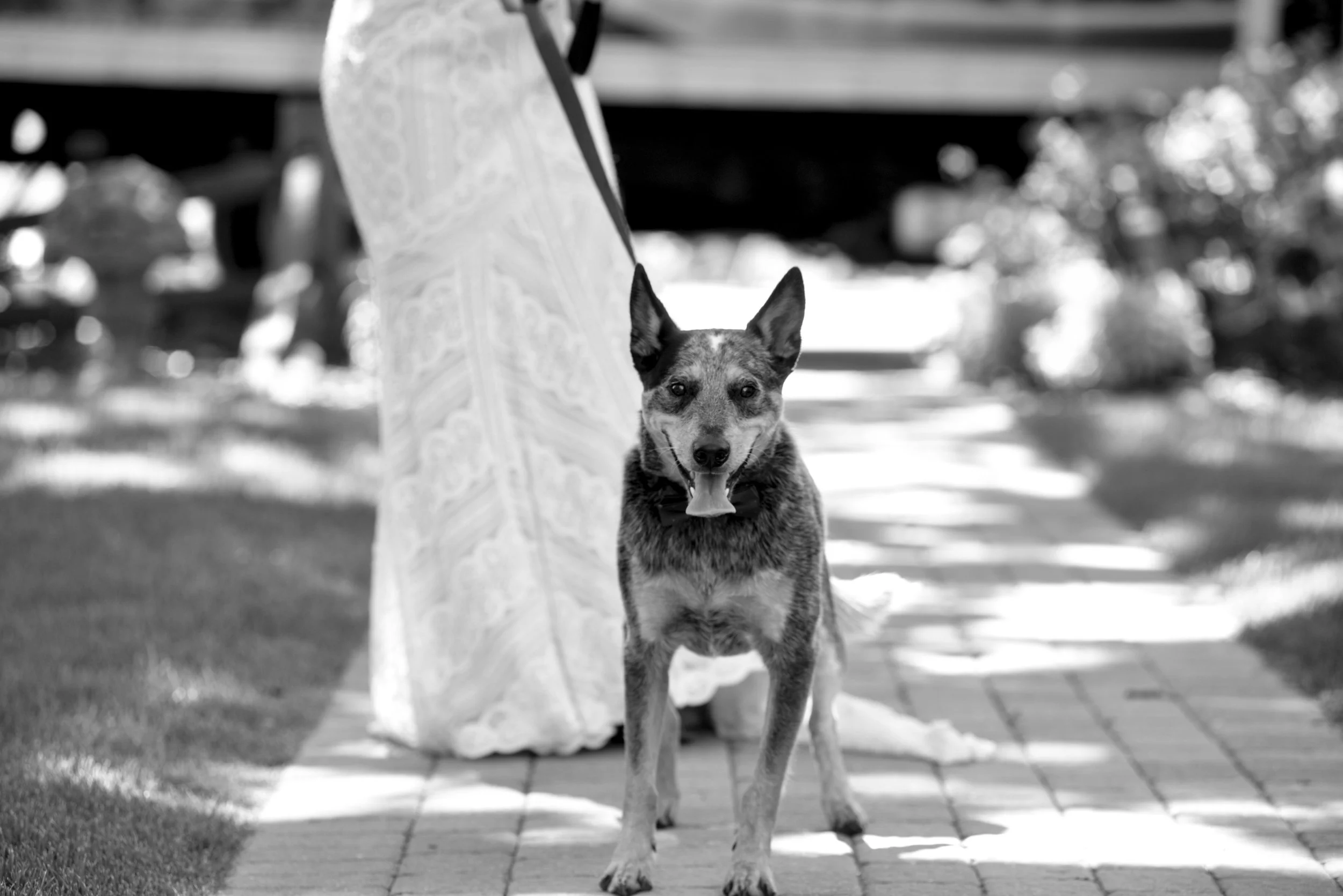 EJwed129.jpg