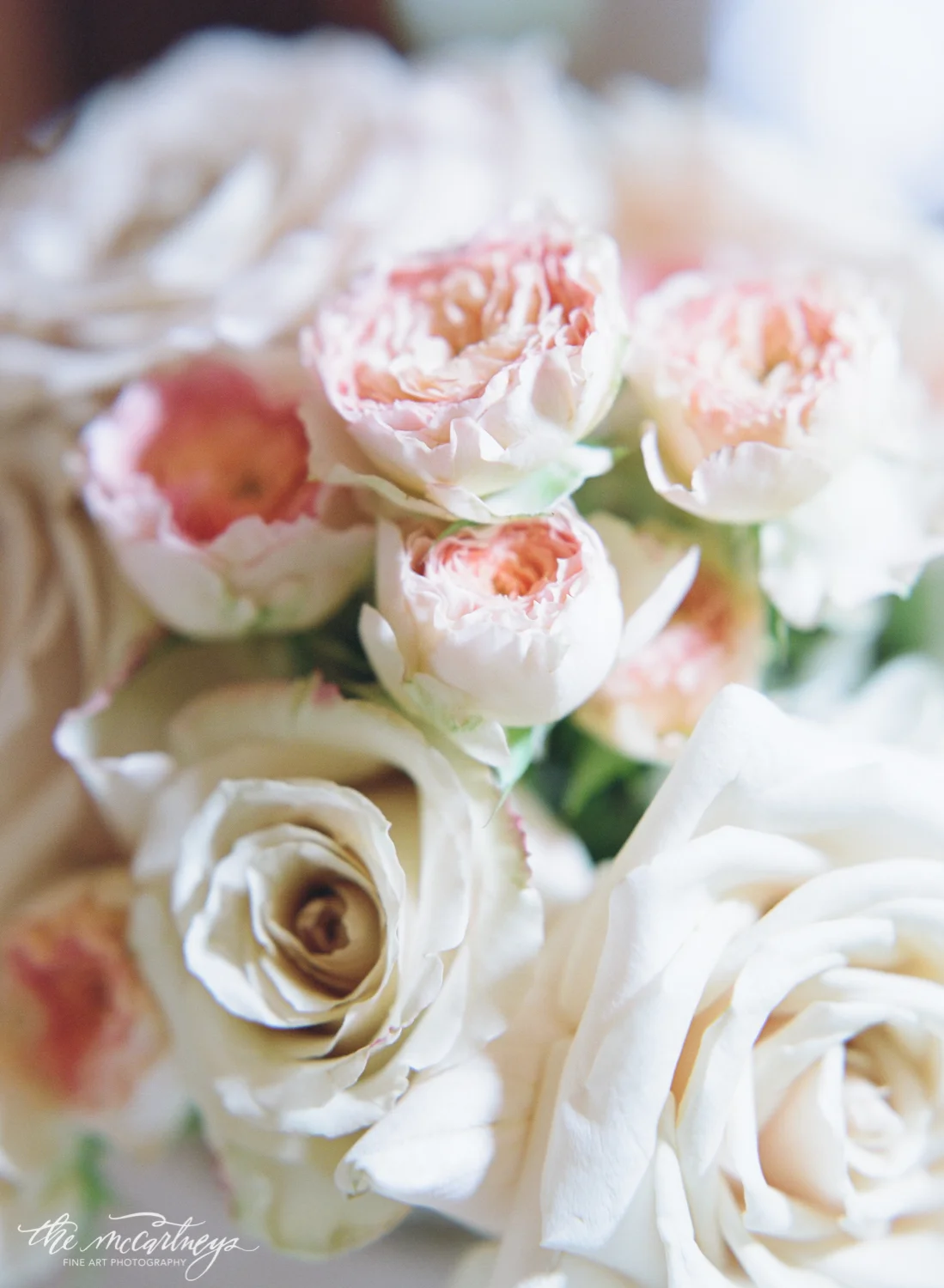 593-KanoeMikeWedding.jpg