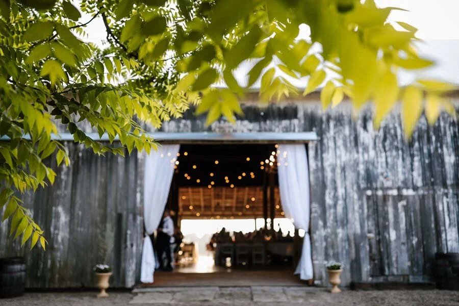 midwesternbride.com | The Midwestern Bride Wedding Planning and Design | Hidden Vineyard Weddings (37).jpg