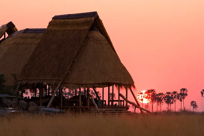 africa photographic safari Botswana