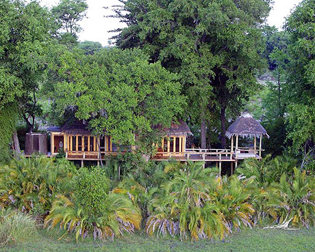 africa_photo_picture_safari_botswana
