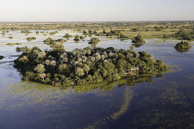 africa_photo_picture_safari