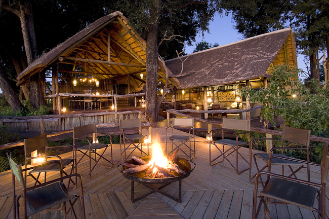 africa_photo_picture_safari