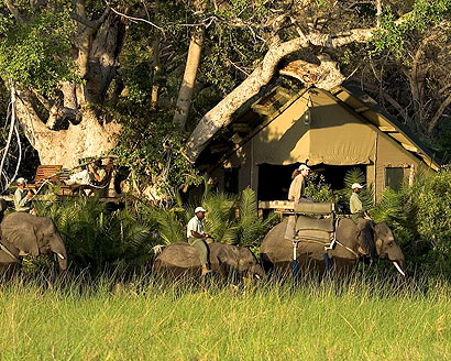 africa_photo_safari-africa_photo_safari