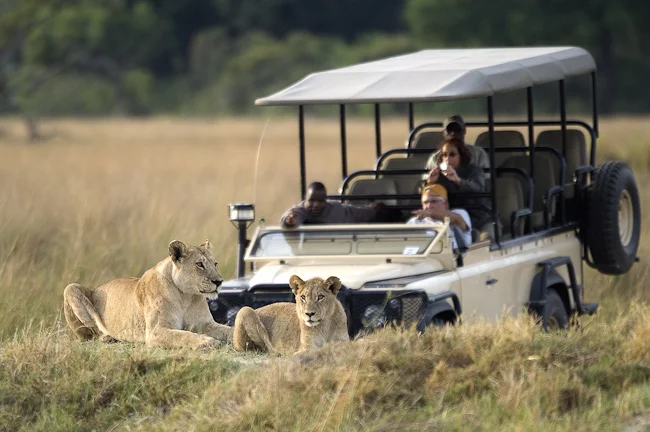 africa photographic safari Botswana