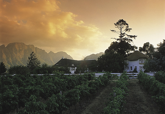 africa_photo_safari-africa_photo_safari-south_africa