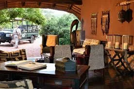 africa_photo_safari-south_africa