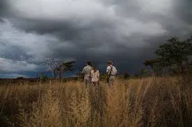 africa_photo_safari-south_africa