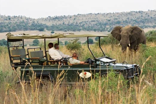 africa_photo_safari-south_africa