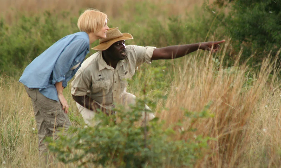 africa_photo_safari-south_africa