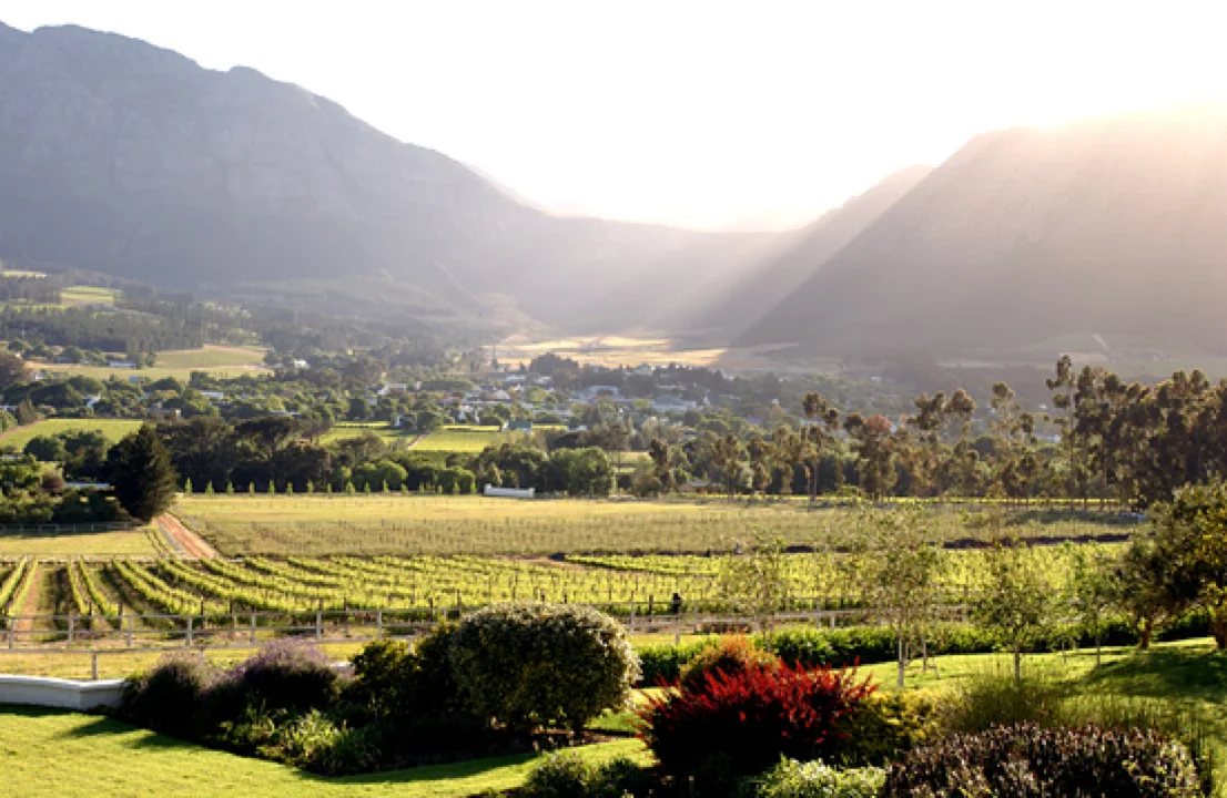 africa_photo_safari-south_africa