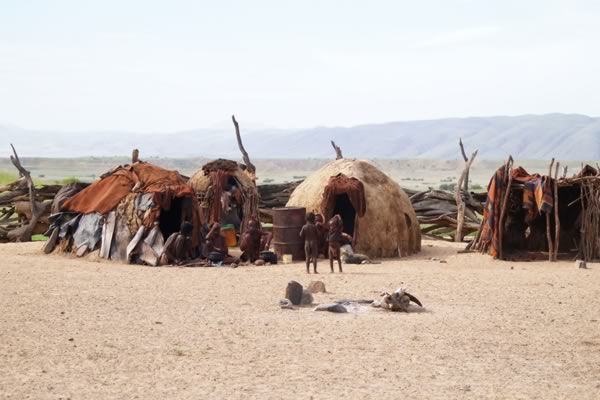 africa_photo_safari-africa_photo_safari-namibia