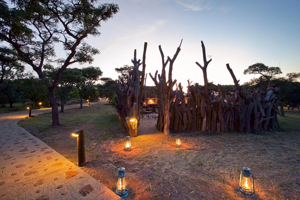 africa_photo_safari-south_africa