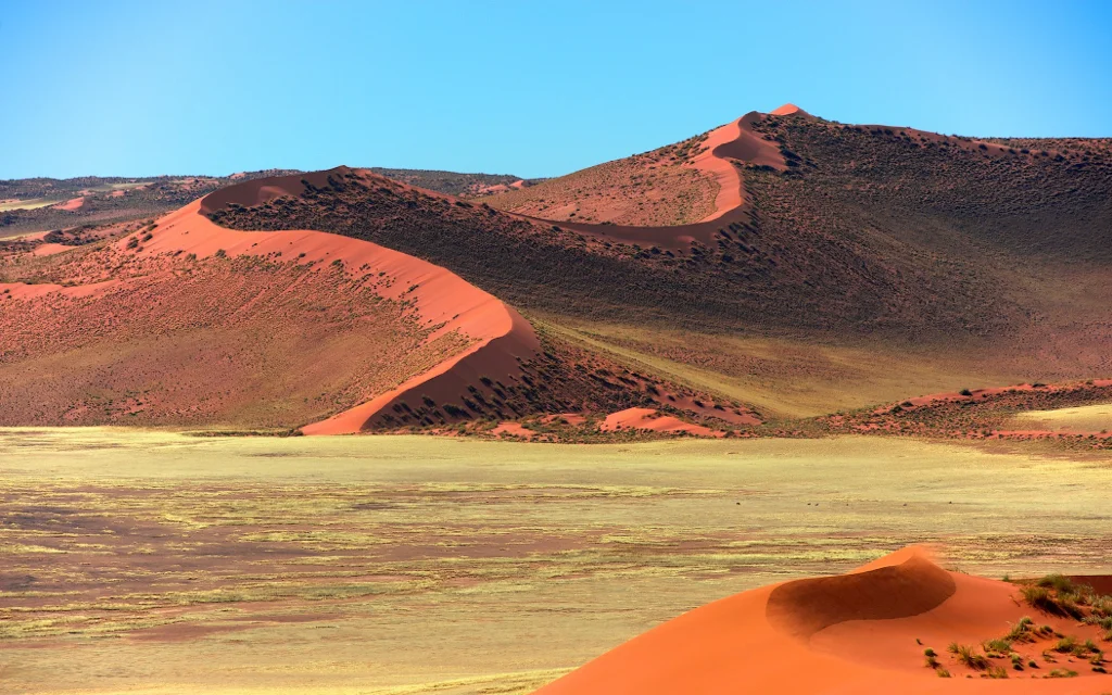 africa_photo_safari-africa_photo_safari-namibia