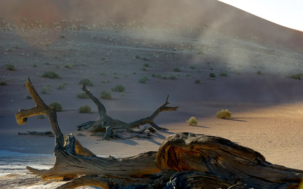 africa_photo_safari-africa_photo_safari-namibia