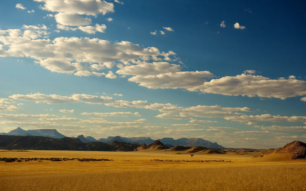 africa_photo_safari-africa_photo_safari-namibia