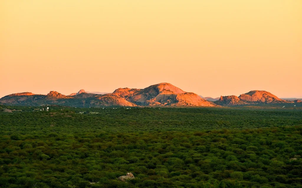 africa_photo_safari-africa_photo_safari-namibia