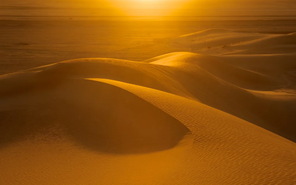 africa_photo_safari-africa_photo_safari-namibia