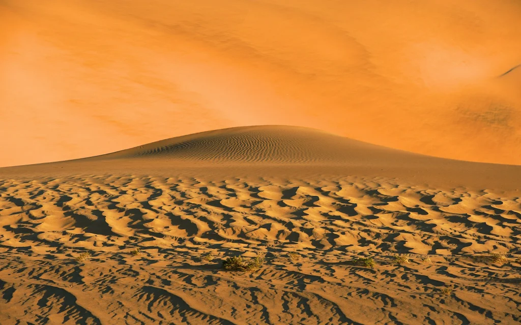 africa_photo_safari-africa_photo_safari-namibia