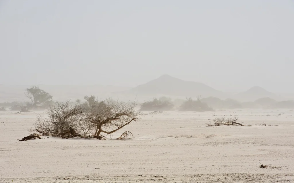 africa_photo_safari-africa_photo_safari-namibia