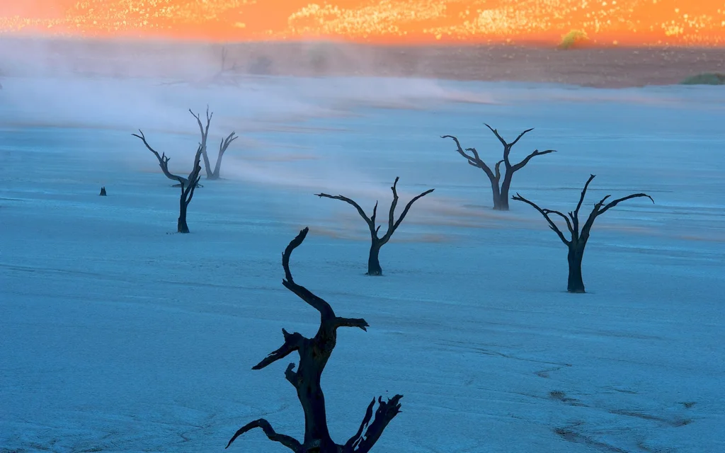 africa_photo_safari-africa_photo_safari-namibia