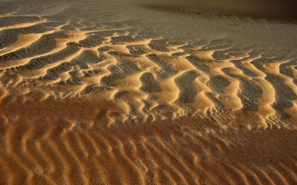 africa_photo_safari-africa_photo_safari-namibia