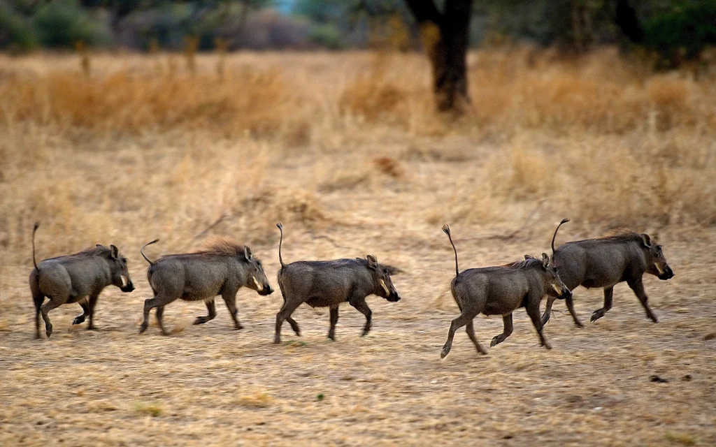 Africa_Photographic_Namibia__73.jpg