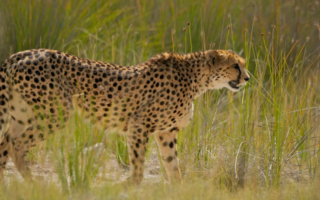 Africa_Photographic_Namibia__80.jpg