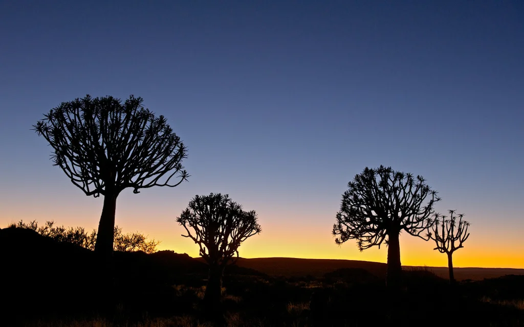 Africa_Photographic_Namibia__90.jpg