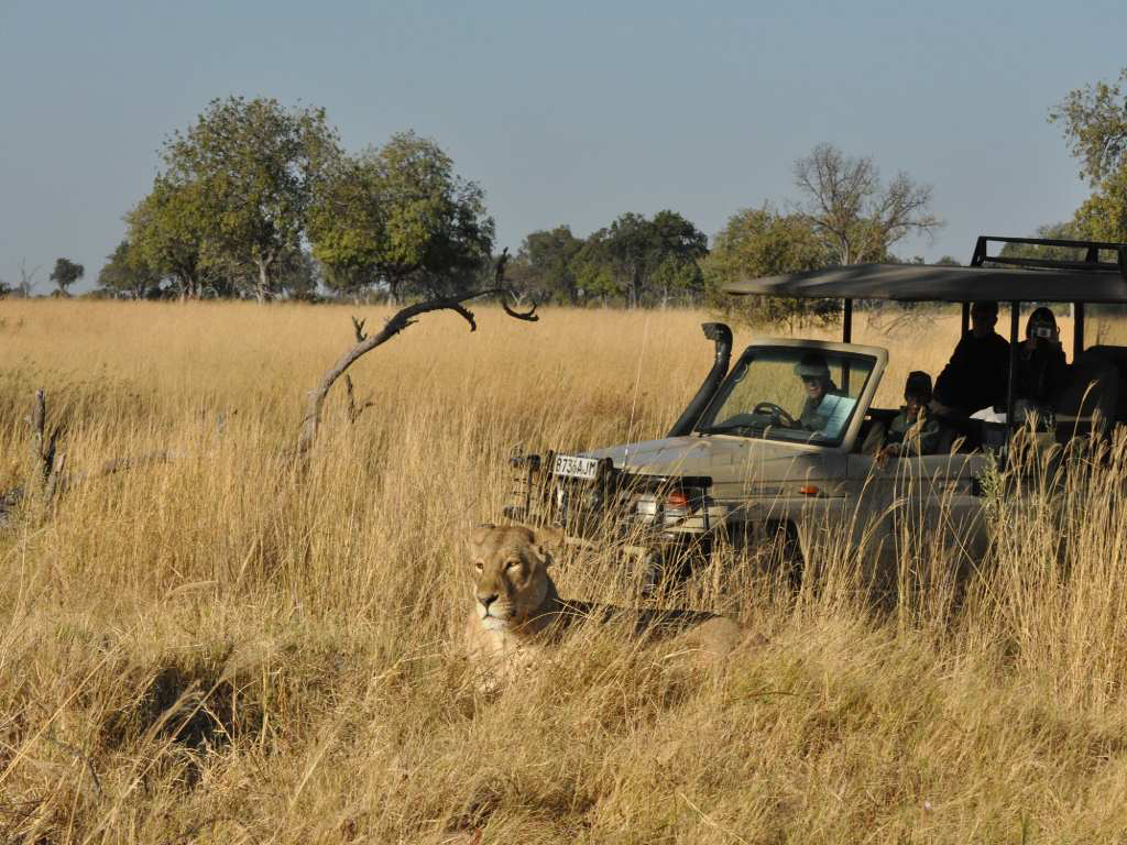 africa_photo_safari-africa_photo_safari