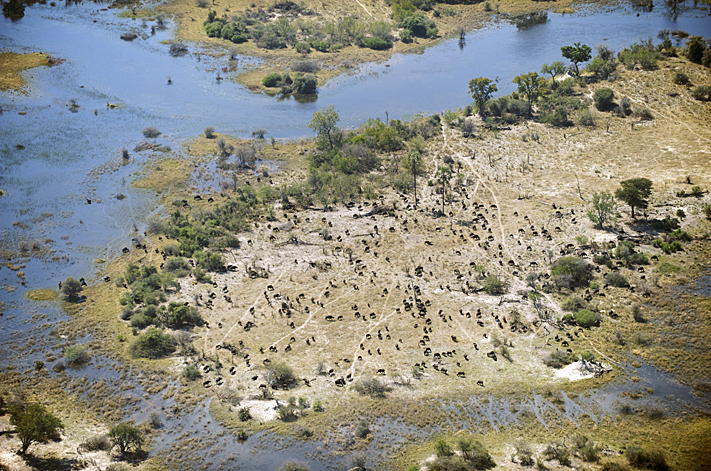 africa_photo_safari-africa_photo_safari