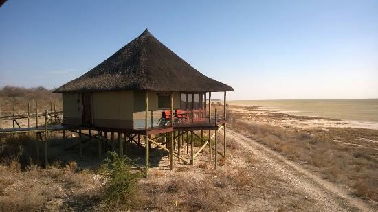 africa_photo_safari-africa_photo_safari-namibia