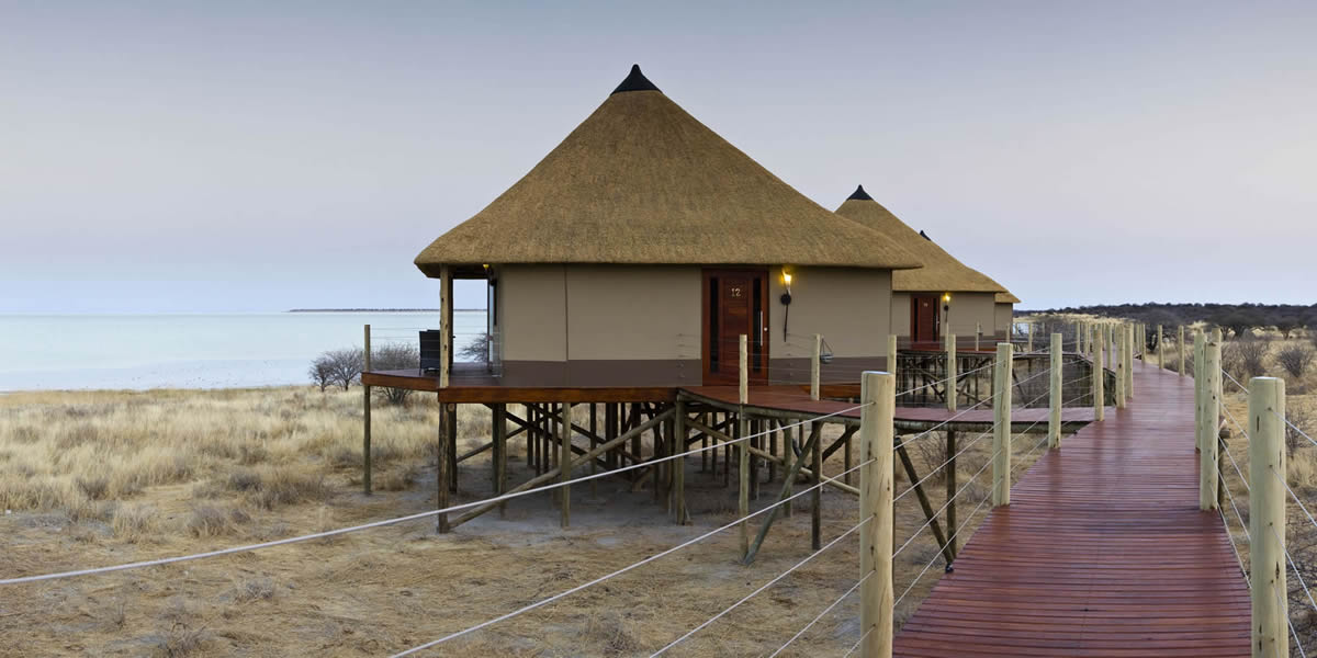 africa_photo_safari-africa_photo_safari-namibia