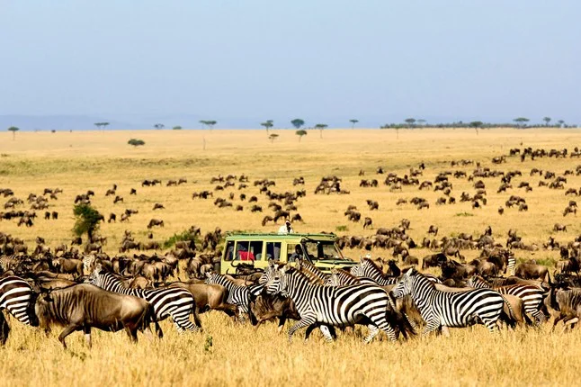 Africa_Photographic_Serengeti__39.jpg