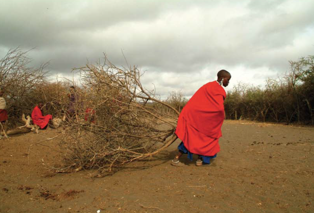 Africa_Photographic_Shumata__12.png