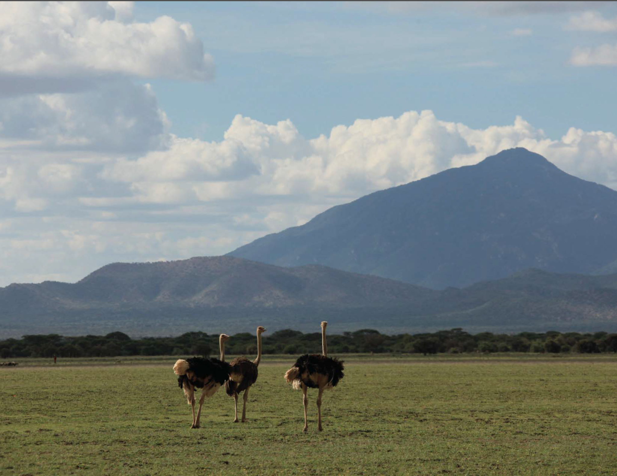 africa_photographic_safari-tanzania