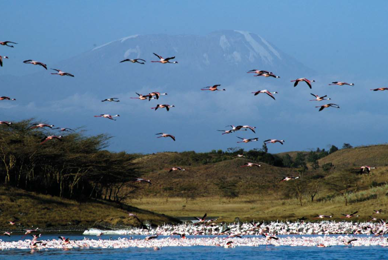 africa_photographic_safari-tanzania