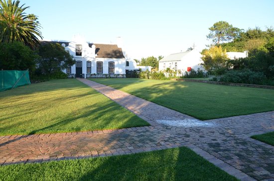 africa_photo_safari-south_africa
