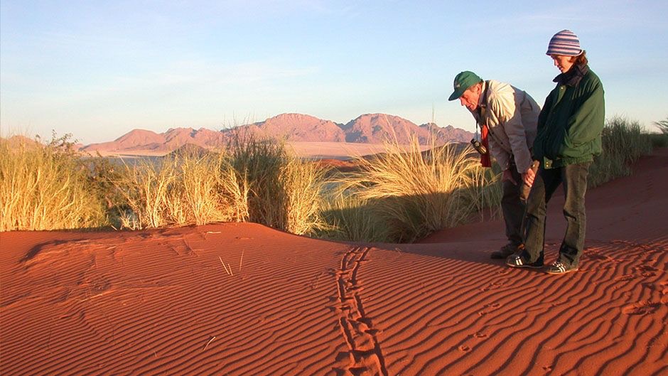 africa_photo_safari-africa_photo_safari-NAMIBIA