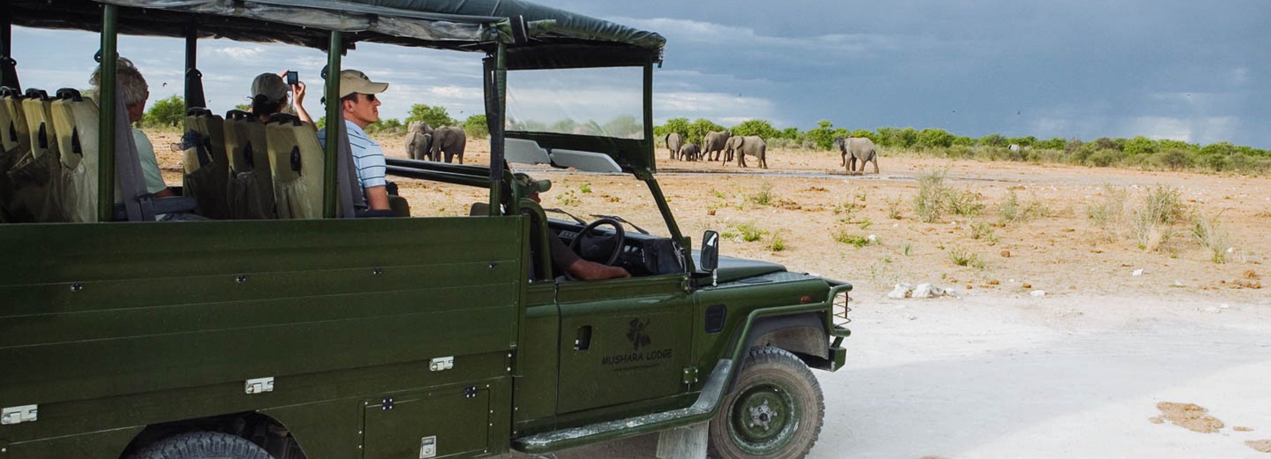 africa_photo_safari-africa_photo_safari-namibia
