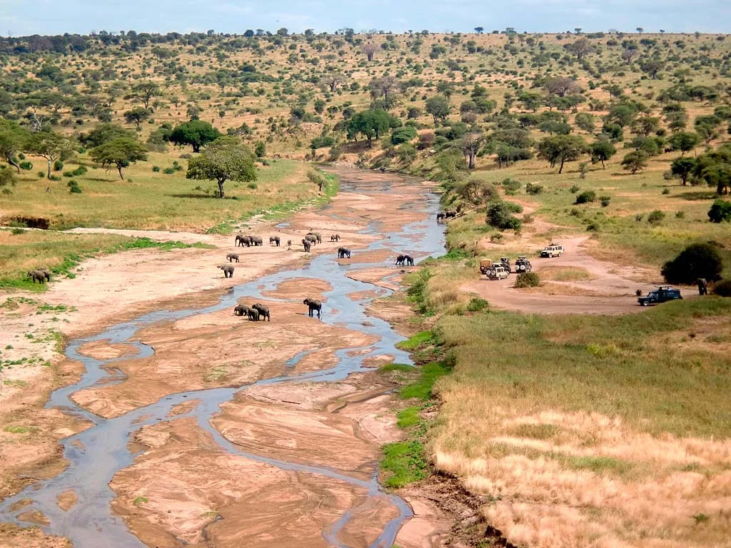 africa_photographic_safari-tanzania-tarangire