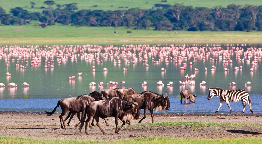 africa_photographic_safari-tanzania-NgorogoroCrater