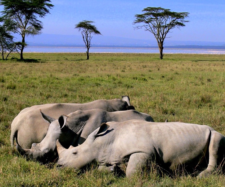 africa_photographic_safari-tanzania-NgorogoroCrater