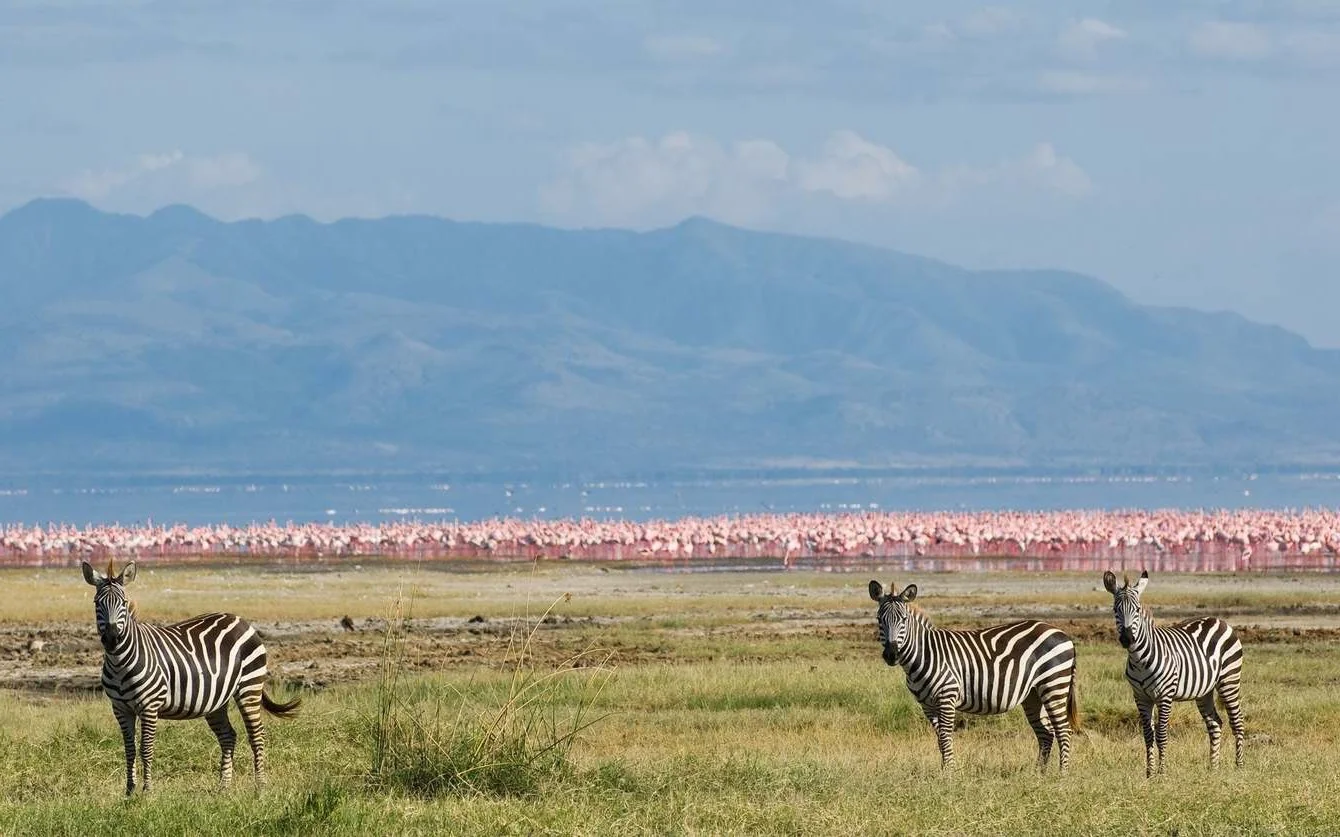 africa_photographic_safari-tanzania-LakeManyana