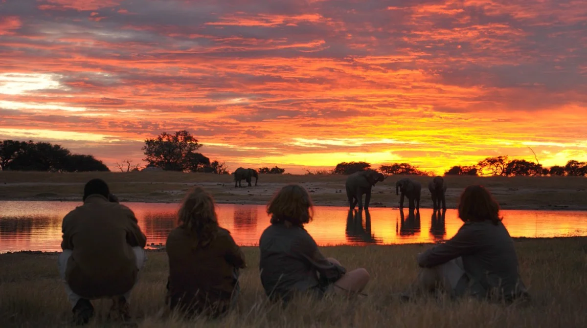 Africa_photographic_safari-Zimbabwe