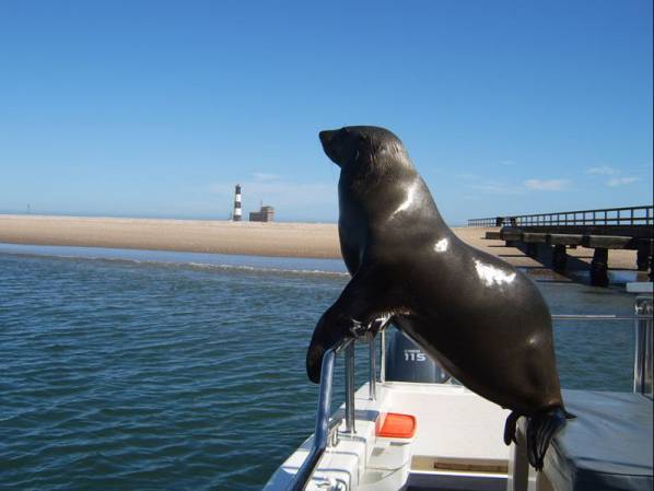 africa_photo_safari-africa_photo_safari-namibia
