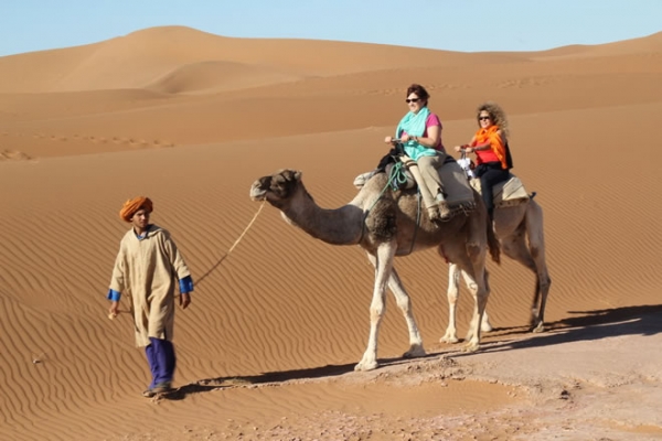 africa_photo_safari-africa_photo_safari-namibia