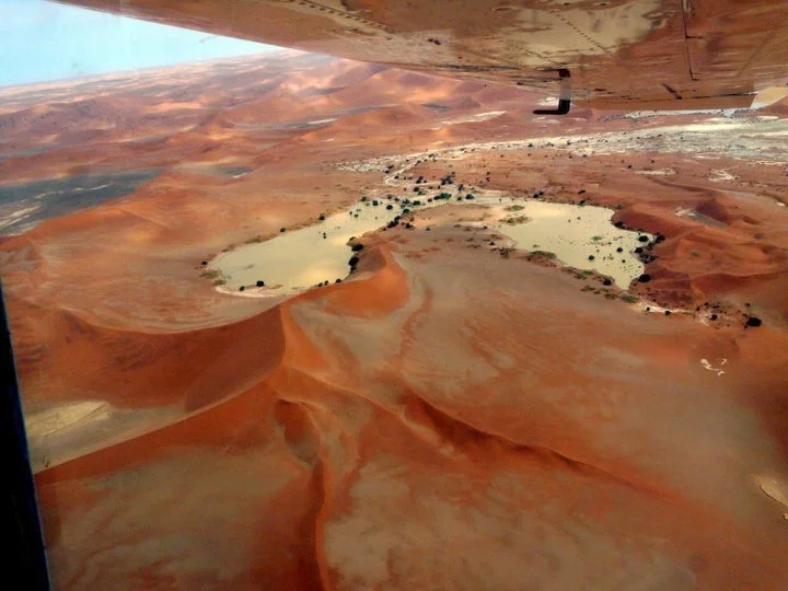 africa_photo_safari-africa_photo_safari-namibia