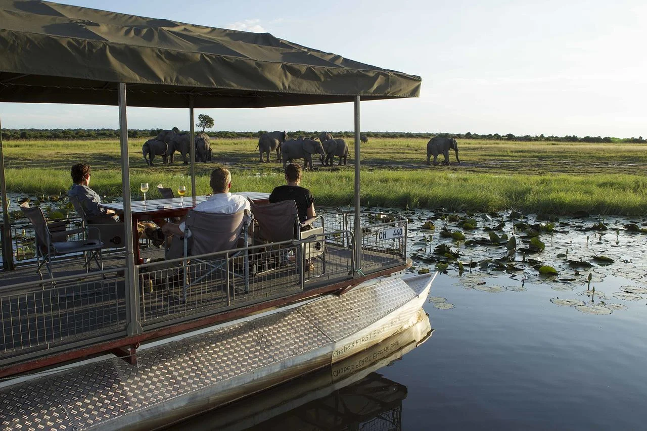 Africa_photographic_safari-Chobe